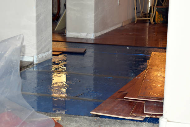 Professional Water Damage Restoration technician working in Republic, OH